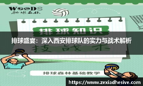 排球盛宴：深入西安排球队的实力与战术解析